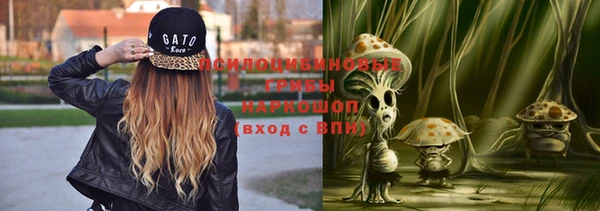 хмурый Белокуриха