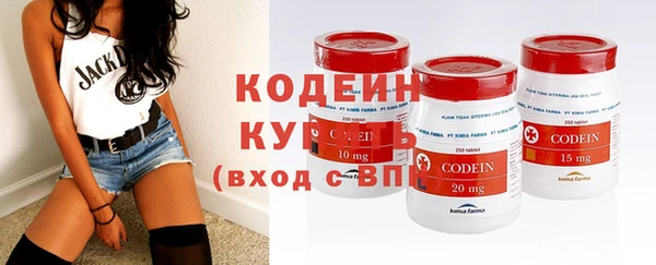 хмурый Белокуриха
