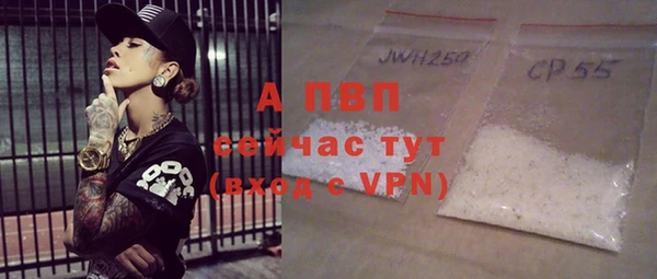 хмурый Белокуриха