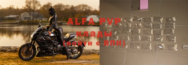 хмурый Белокуриха