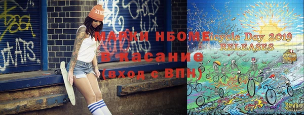 хмурый Белокуриха