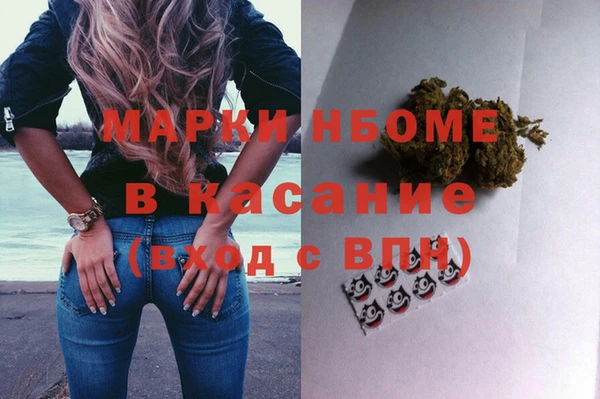 хмурый Белокуриха